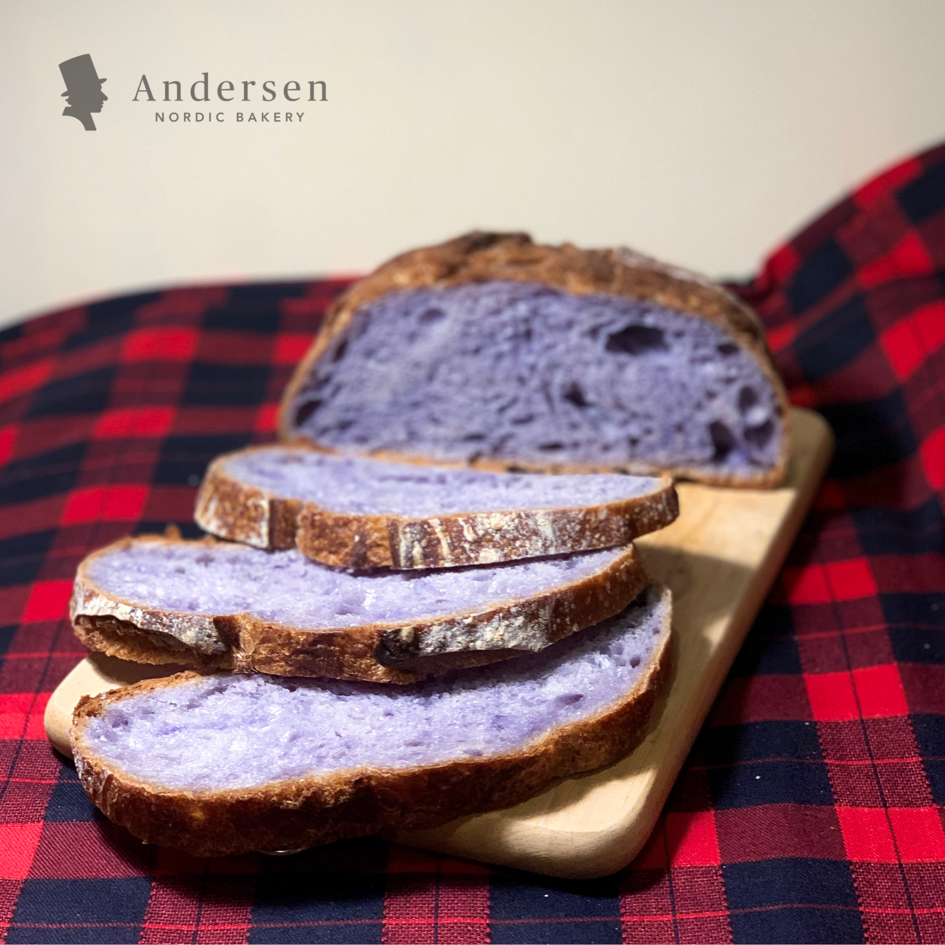 Sourdough Butterfly Pea Flower