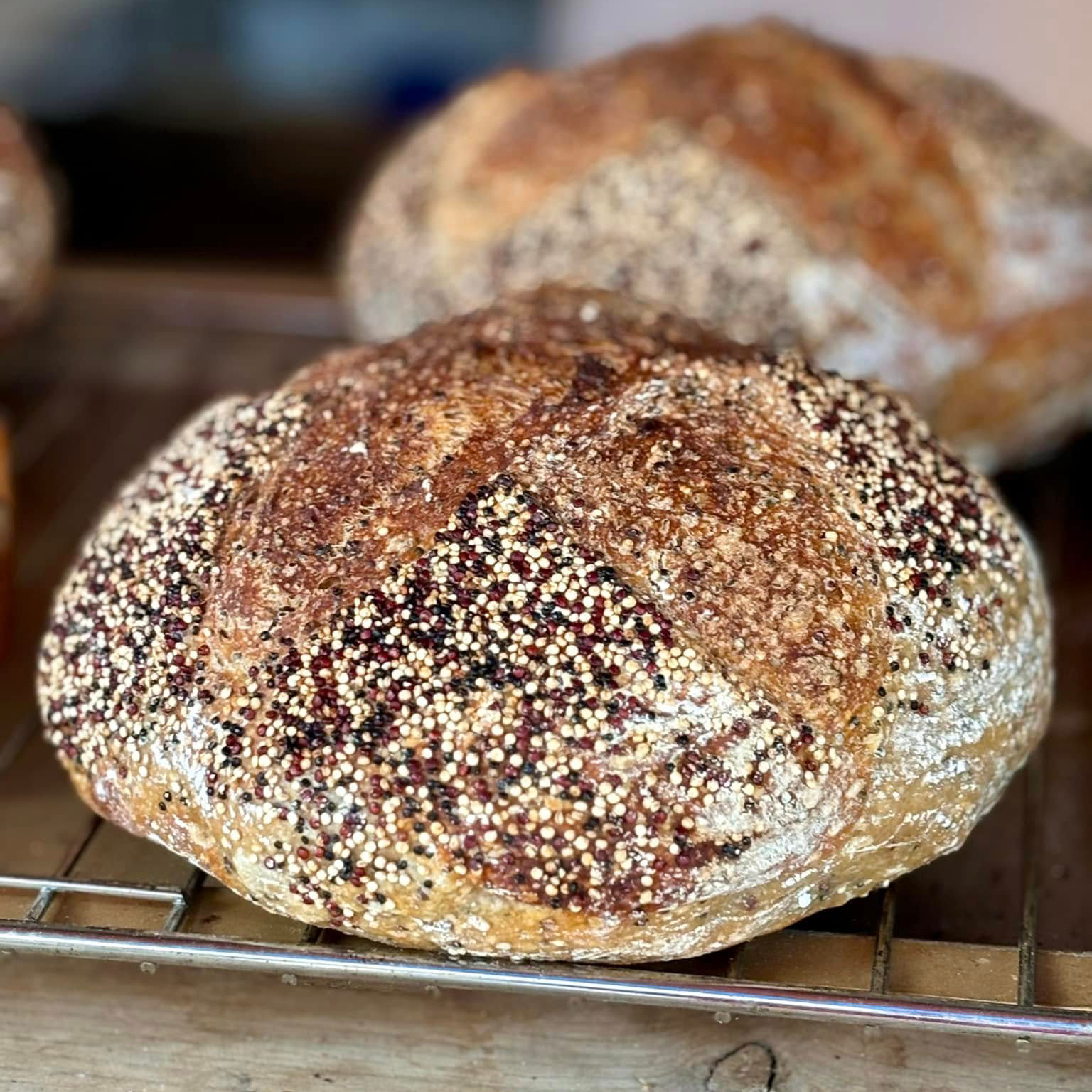Sourdough Quinoa