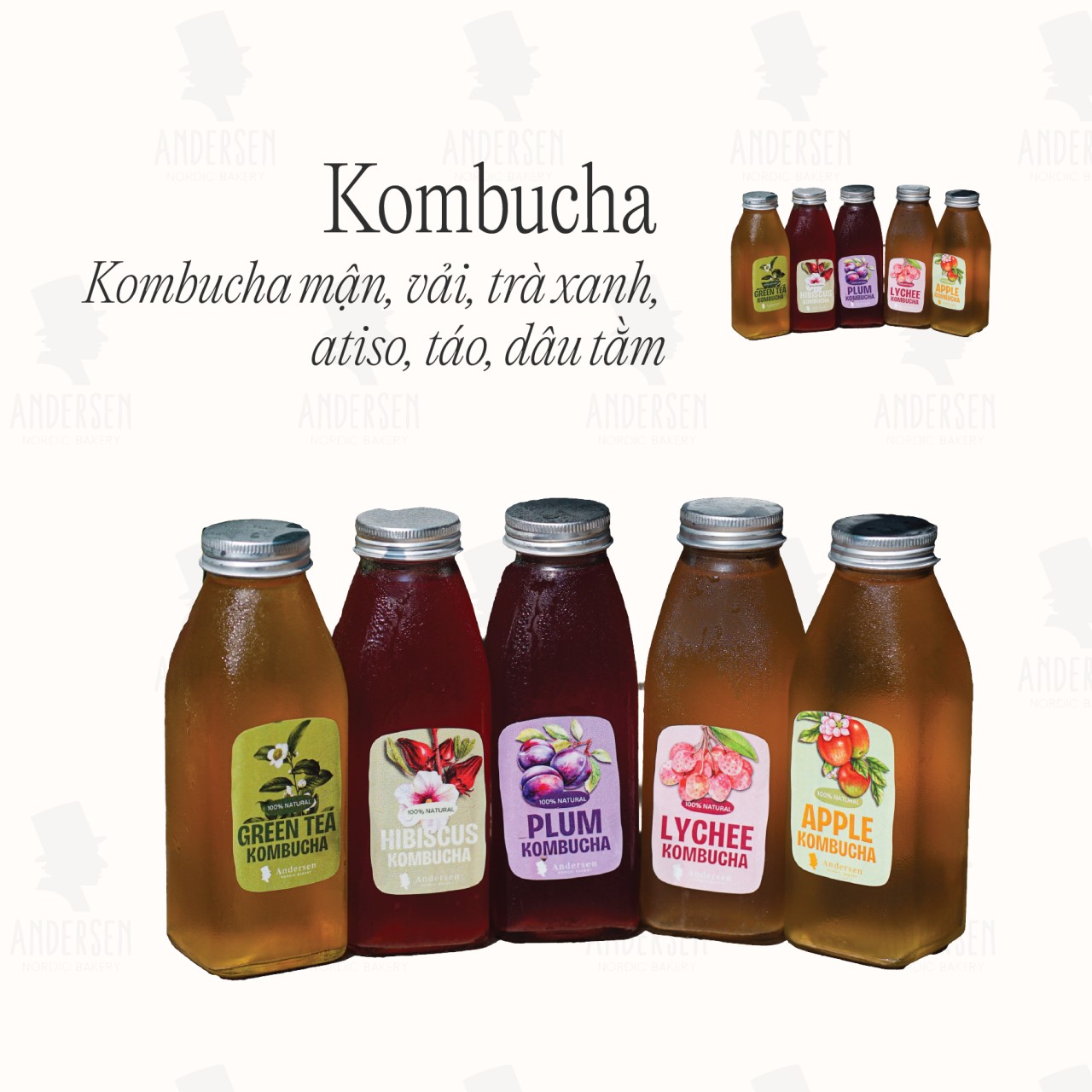 House Kombucha