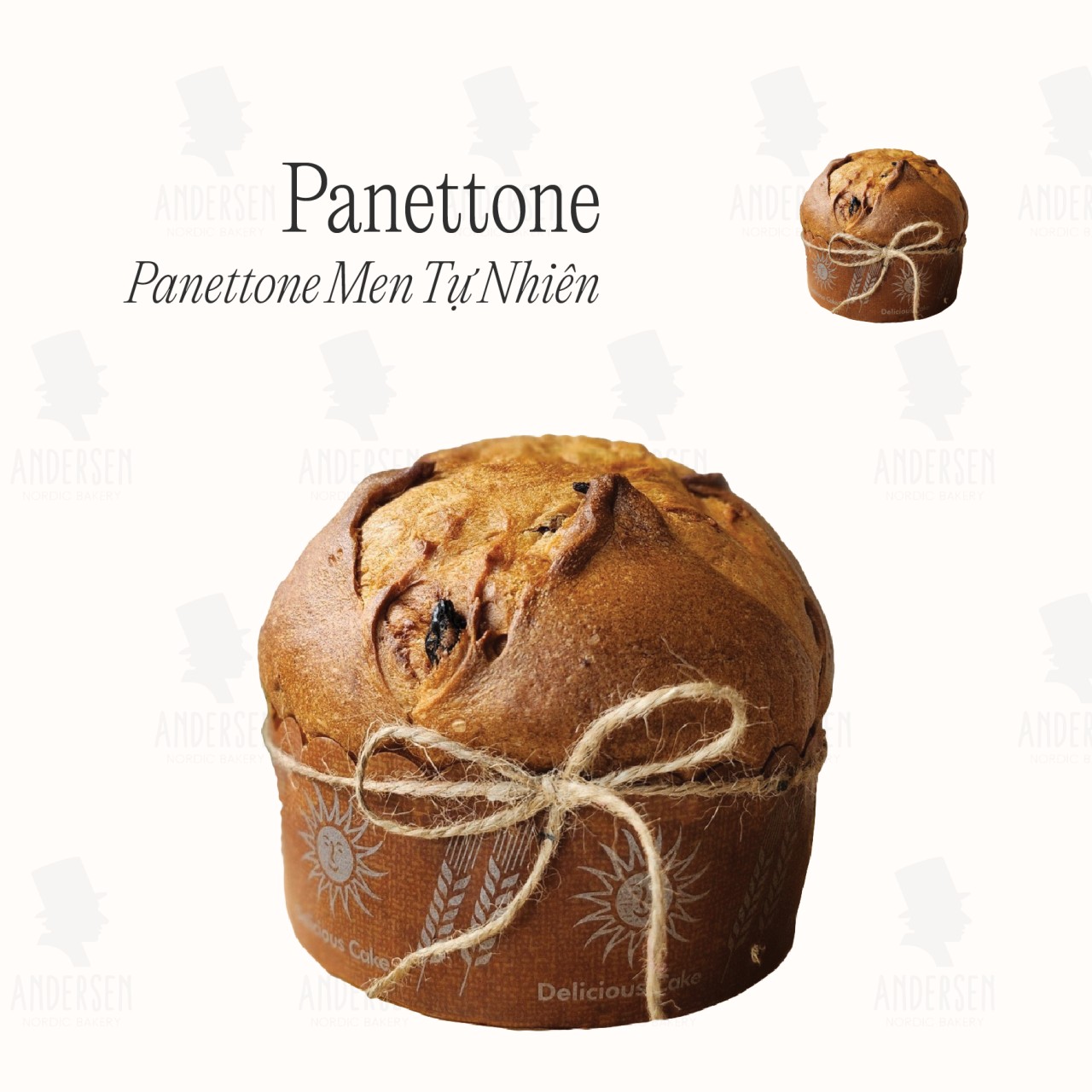 Artisan Panettone